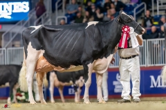 KVB08581-35776 KVB08581-35776