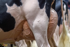 A100062-35791 A100062-35791