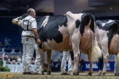 A100075-35794 A100075-35794