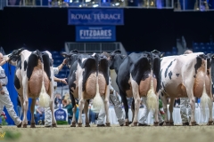 A100086-35795 A100086-35795