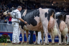 A100095-35798 A100095-35798