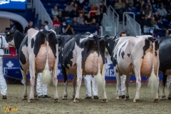 A100108-35799 A100108-35799