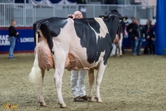 A100119-35801 A100119-35801