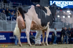 A100130-35802 A100130-35802