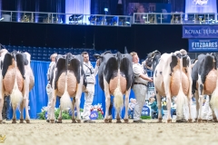 AR308612-35790 AR308612-35790