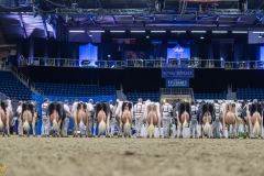 AR308613-35792 AR308613-35792