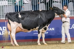 KVB08583-35777 KVB08583-35777