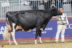 KVB08588-35778 KVB08588-35778