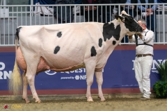 KVB08599-35781 KVB08599-35781