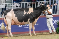 KVB08603-35782 KVB08603-35782