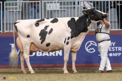 KVB08605-35783 KVB08605-35783