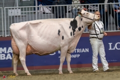 KVB08608-35784 KVB08608-35784