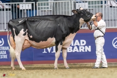 KVB08614-35786 KVB08614-35786