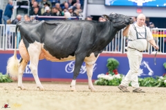 KVB08622-35787 KVB08622-35787