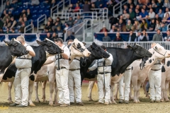 KVB08629-35793 KVB08629-35793