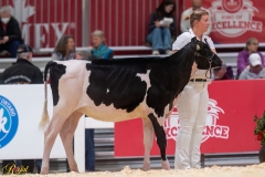 A106185-34179 A106185-34179