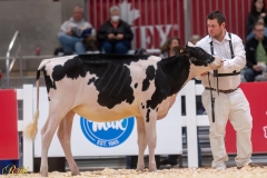 A106229-34190 A106229-34190