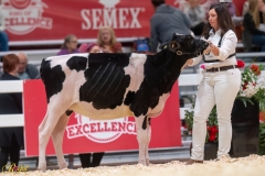 A106239-34191 A106239-34191