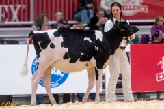 A106245-34192 A106245-34192