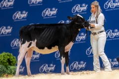 A106284-34198 A106284-34198