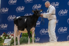 A106295-34199 A106295-34199