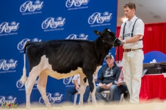 A106302-34201 A106302-34201