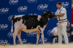 A106360-34212 A106360-34212