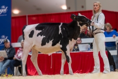 A106369-34213 A106369-34213