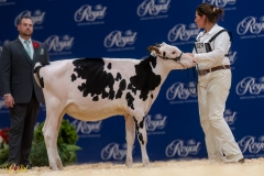 A106406-34222 A106406-34222