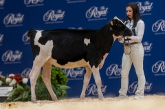 A106414-34223 A106414-34223