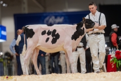 A106418-34225 A106418-34225