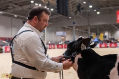 AR306007-34178 AR306007-34178