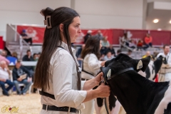 AR306011-34180 AR306011-34180