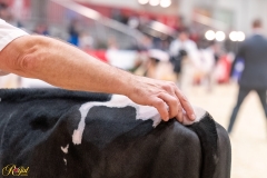 AR306014-34183 AR306014-34183