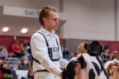 AR306044-34204 AR306044-34204