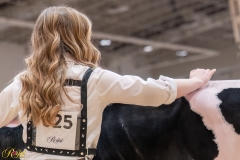 AR306048-34206 AR306048-34206