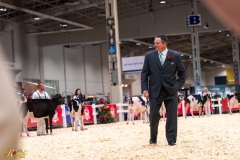 AR306079-34229 AR306079-34229