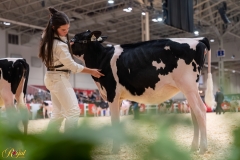 AR306084-34230 AR306084-34230