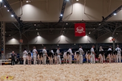 AR306120-34237 AR306120-34237