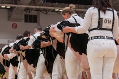 AR306123-34238 AR306123-34238