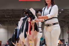 AR306225-34247 AR306225-34247