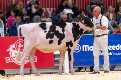 A106765-34981 A106765-34981