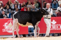 A106768-34982 A106768-34982