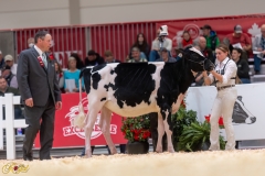 A106770-34983 A106770-34983