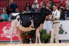 A106785-34986 A106785-34986