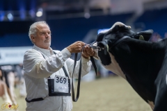 A109063-35559 A109063-35559