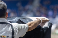 A109067-35561 A109067-35561