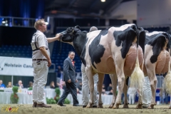 A109158-35572 A109158-35572