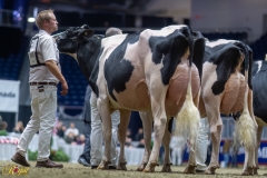 A109162-35573 A109162-35573