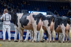 A109198-35584 A109198-35584